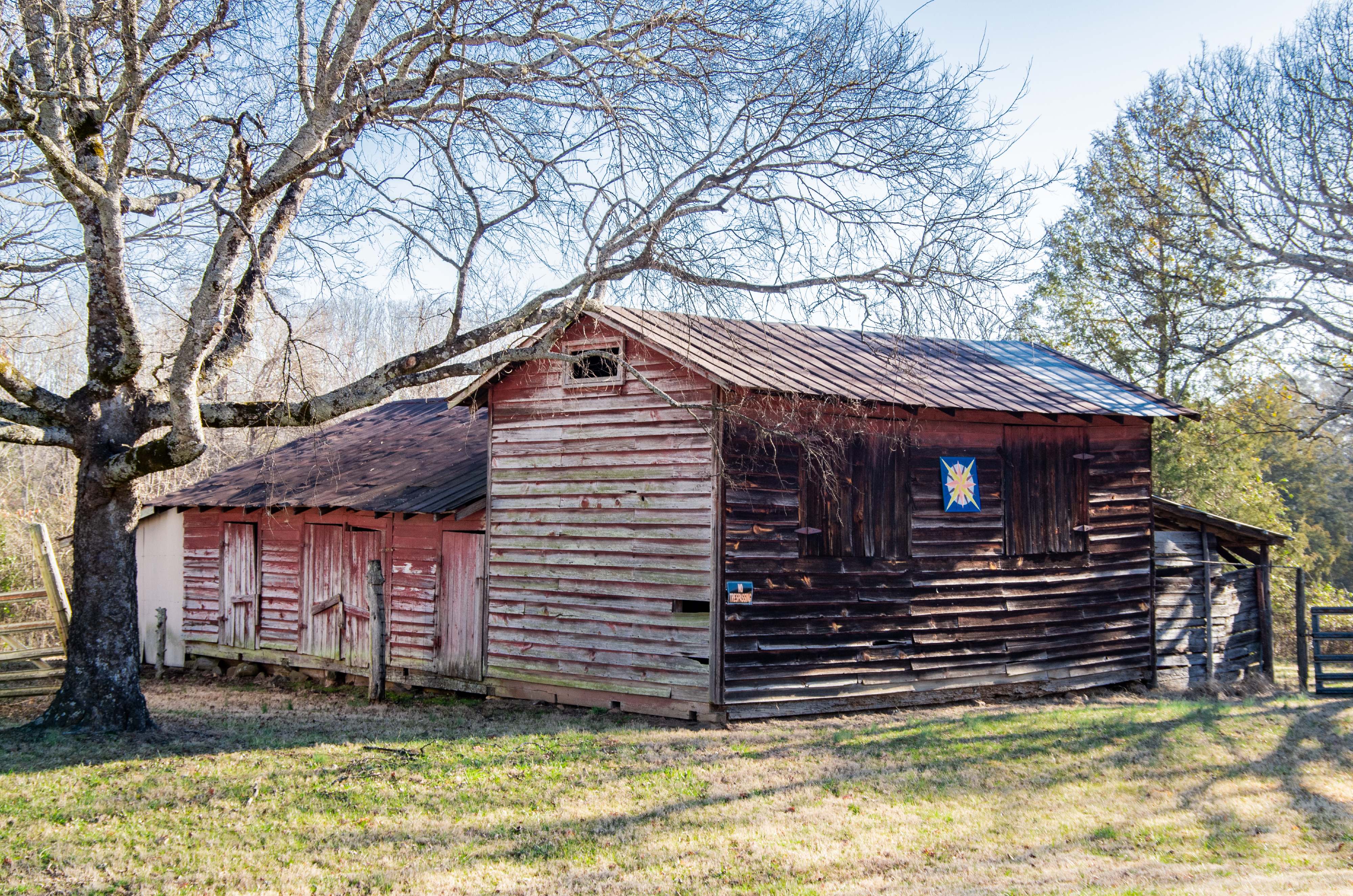 A color photo of a barn with a gnarly old tree at its side.