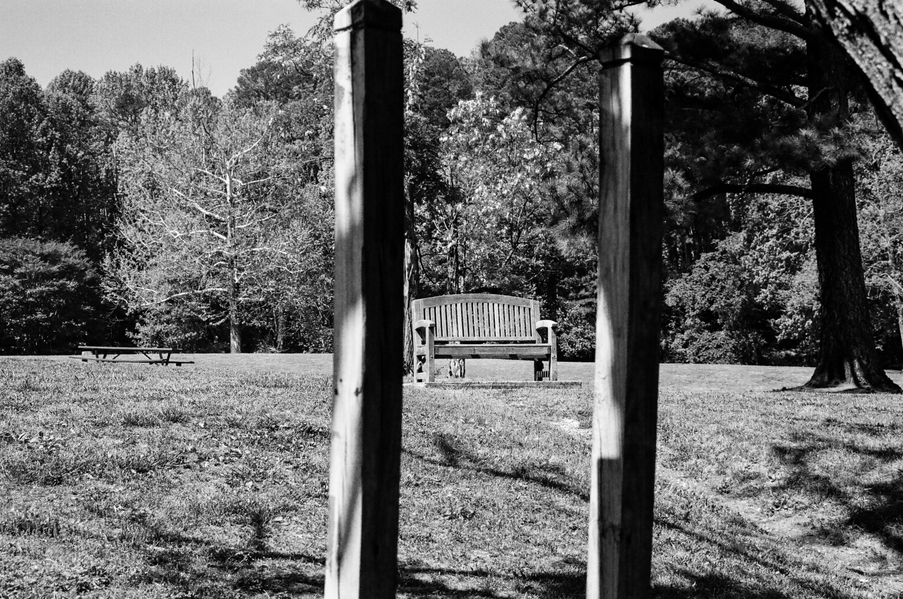 A deep field black and white photo of a park bench shot between two square wooden posts.  There is a picnic table at medium distance on the left and a forest beyond.  There is also a single tree on the right of the picture.