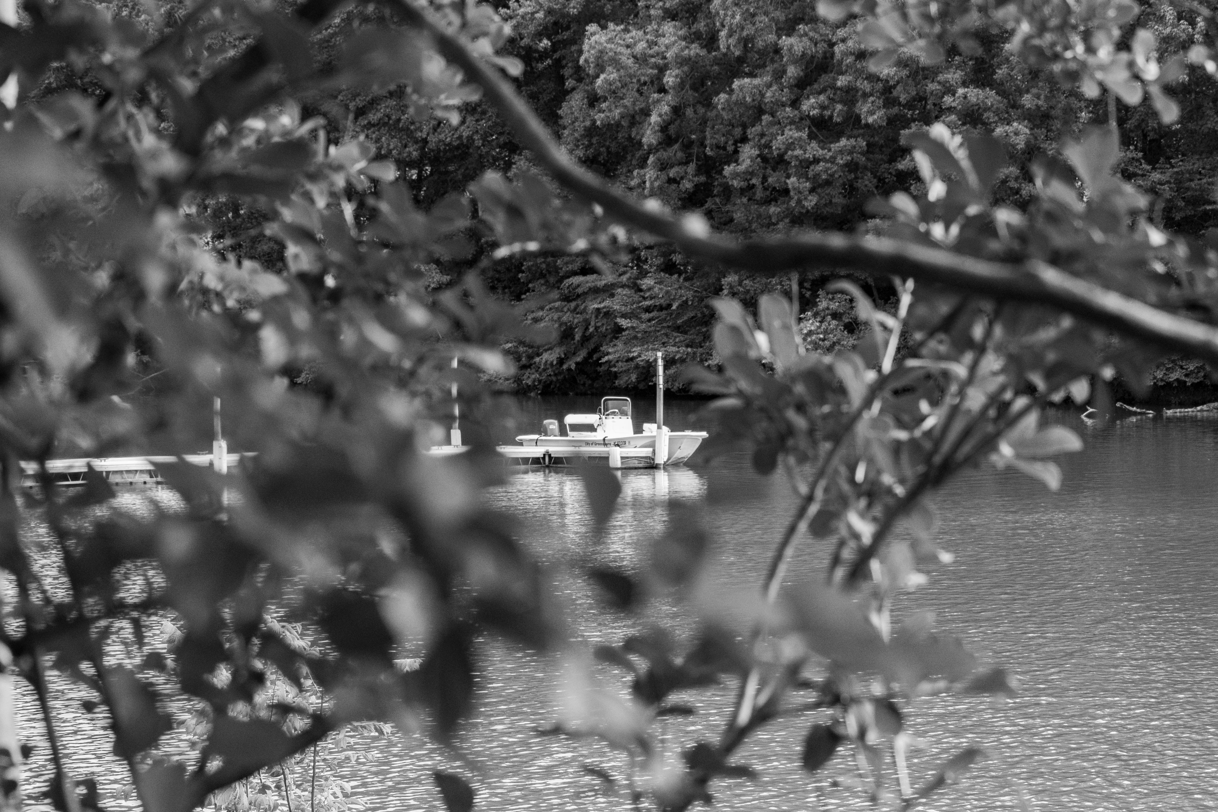 A black and white photo of a small boat at the end of a dock as shot through a gap in the foliage which is out of focus.  At the other end of the lake is a wooded area.